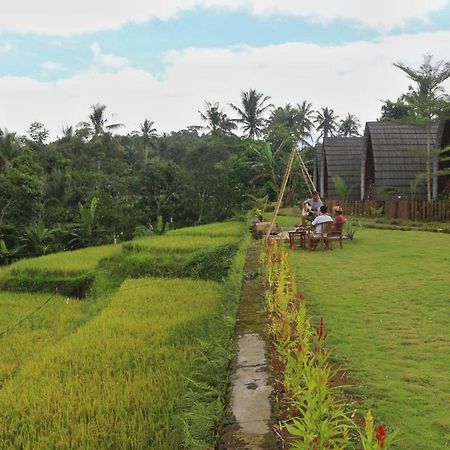 Omah Bapak Ijen Eco House Hotell Licin Exteriör bild