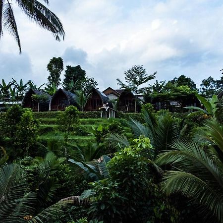 Omah Bapak Ijen Eco House Hotell Licin Exteriör bild