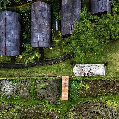 Omah Bapak Ijen Eco House Hotell Licin Exteriör bild