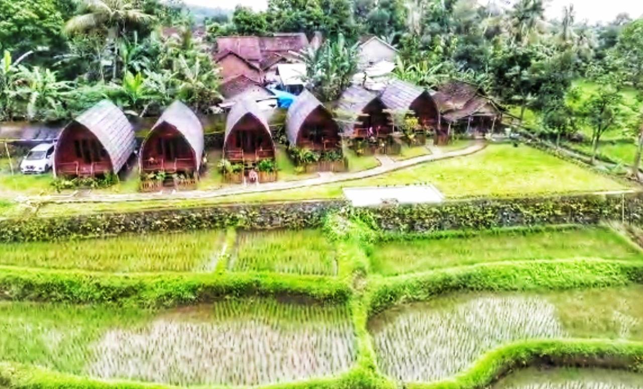 Omah Bapak Ijen Eco House Hotell Licin Exteriör bild