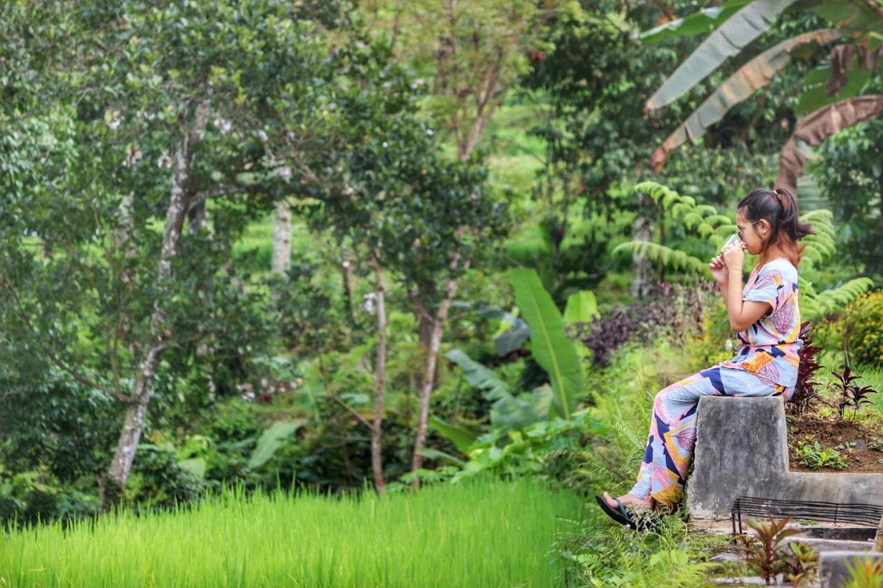 Omah Bapak Ijen Eco House Hotell Licin Exteriör bild