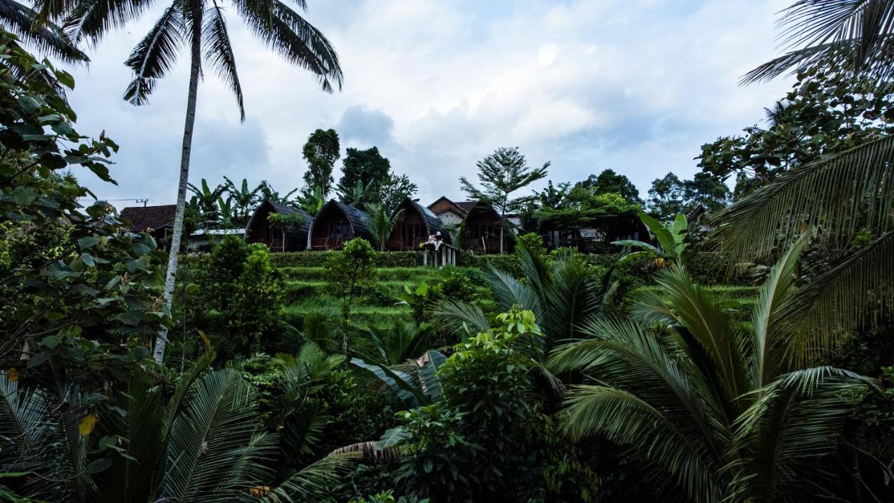 Omah Bapak Ijen Eco House Hotell Licin Exteriör bild