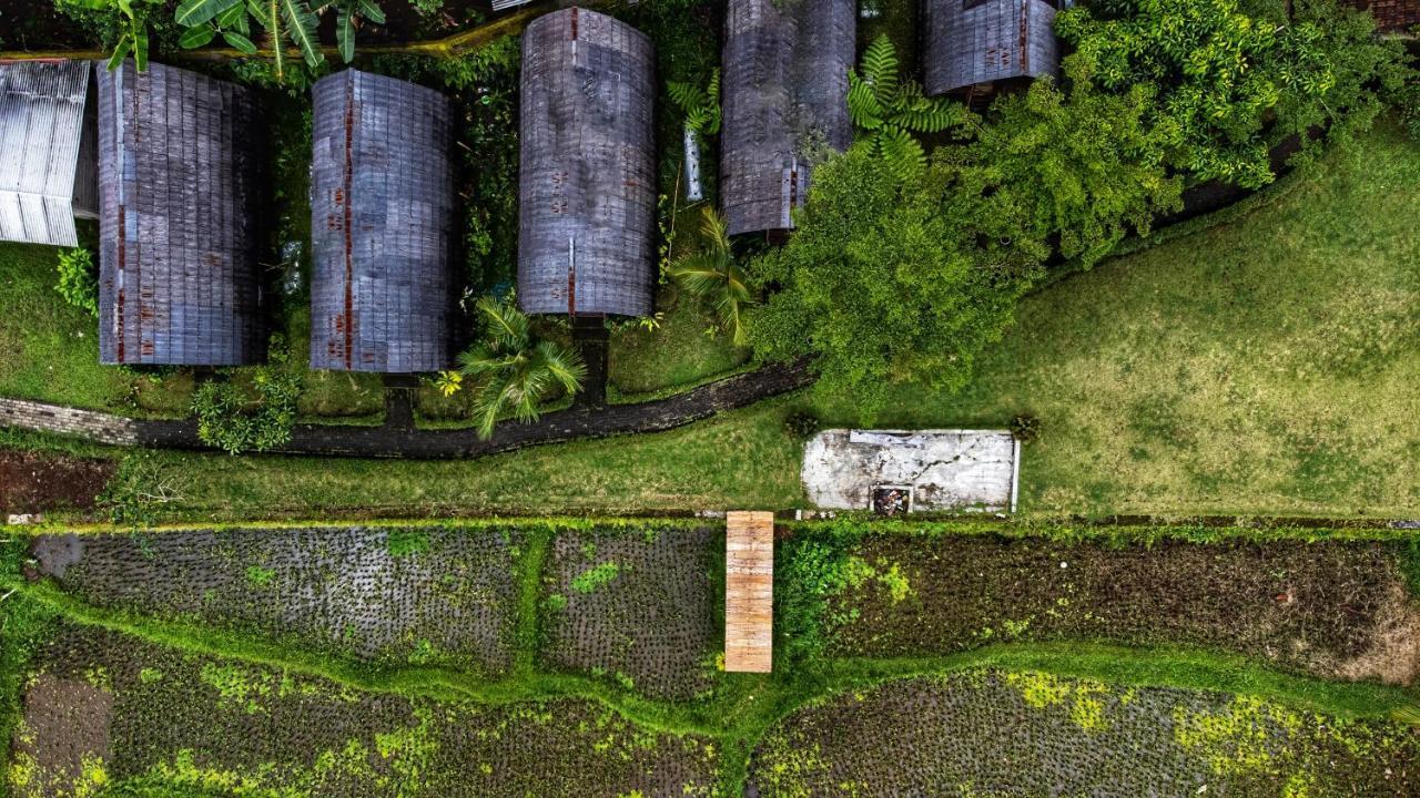 Omah Bapak Ijen Eco House Hotell Licin Exteriör bild