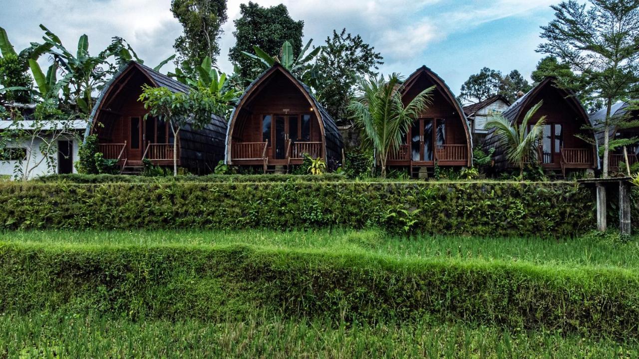 Omah Bapak Ijen Eco House Hotell Licin Exteriör bild